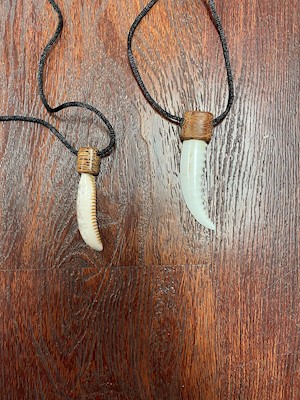 Shark Tooth Necklace                                                       